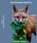 The Fantastic Red Fox Of North America Coloring and Activity Book